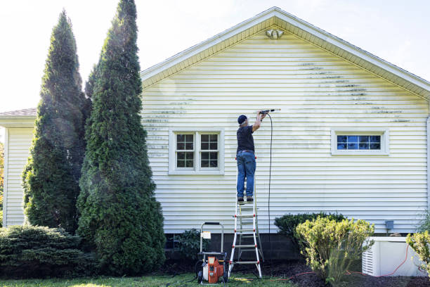 Best Solar Panel Cleaning  in Glenwood, IA